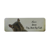 Een beetje eekhoorntjes etiket (Voorkant)