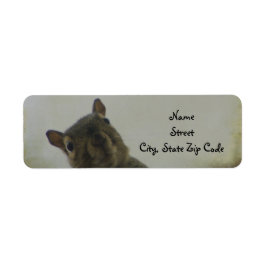 Een beetje eekhoorntjes etiket