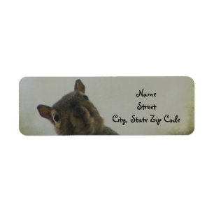 Een beetje eekhoorntjes etiket