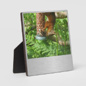 Een beetje gek, eekhoornplak. fotoplaat (Voorkant)