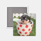 Een beetje handig in de beker magneet (Voorkant / Achterkant)