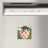 Een beetje handig in de beker magneet (Insitu (Vaatwasser))