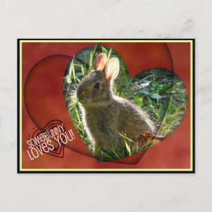 Een beetje houdt van je! Bunny-foto Briefkaart