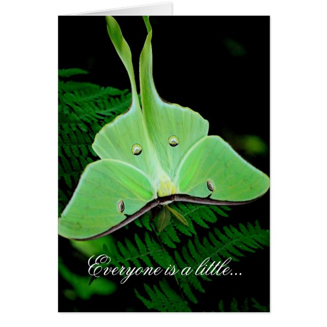 Een beetje Iers (Voorkant)