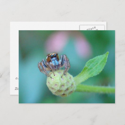 Een beetje Jumpy? Briefkaart (Voorkant / Achterkant)