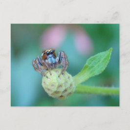 Een beetje Jumpy? Briefkaart