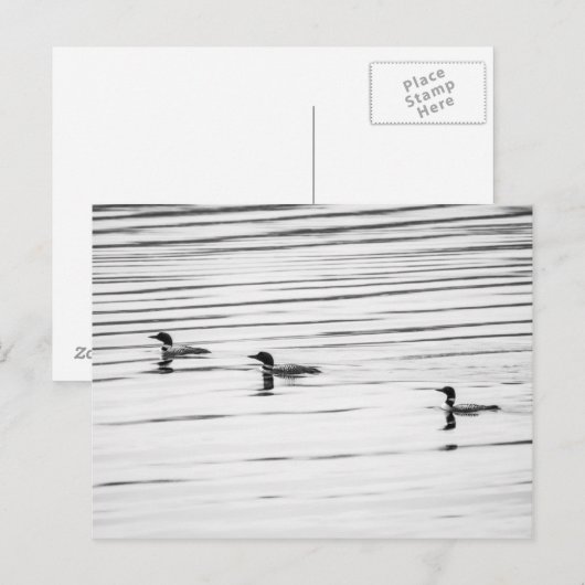 Een beetje leonie - Briefkaart (Voorkant / Achterkant)