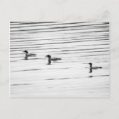 Een beetje leonie - Briefkaart (Voorkant)