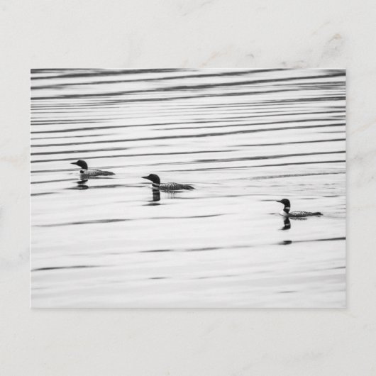 Een beetje leonie - Briefkaart (Voorkant)