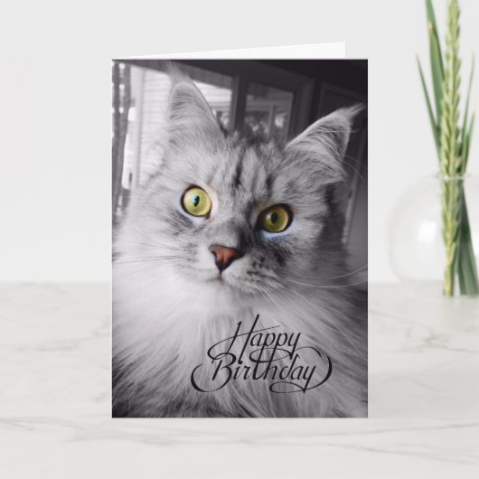 Een beetje magische verjaardagsfeest Kaart (Voorkant)