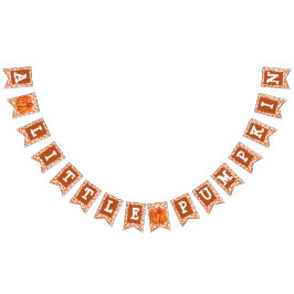 Een beetje Pumpkin Party Banner