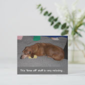 Een beetje R & R - Dog Snooze Briefkaart (Staand voorkant)
