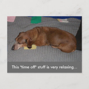 Een beetje R & R - Dog Snooze Briefkaart