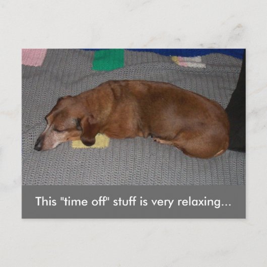 Een beetje R & R - Dog Snooze Briefkaart (Voorkant)