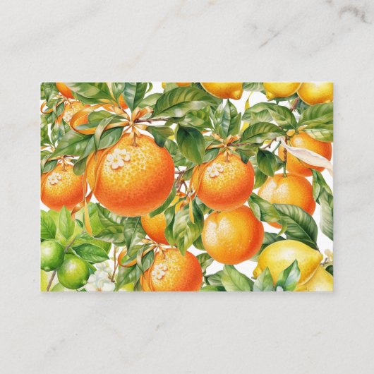 Een beetje schattig, raad eens hoeveel Sinaasappel Informatiekaartje (Achterkant)