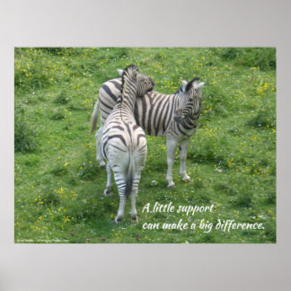 Een beetje steun kan een groot verschil maken. Pos Poster