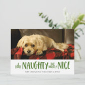 Een beetje stout | Groen | Foto Feestdagenkaart (Staand voorkant)