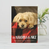 Een beetje stout | Verticaal | Foto Feestdagenkaart (Staand voorkant)