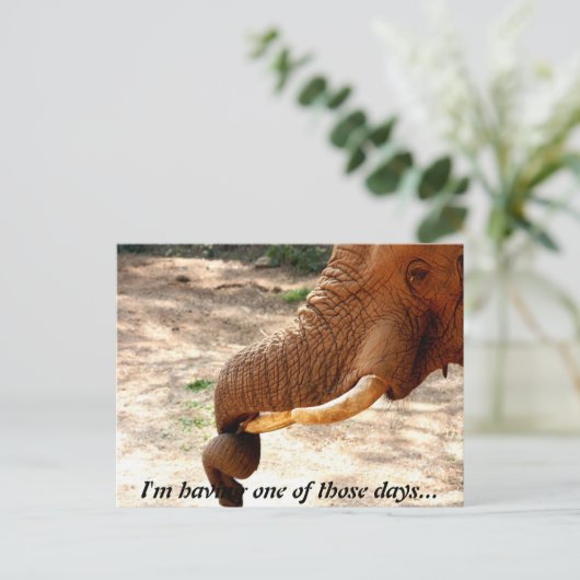 Een beetje verdraaid Briefkaart (Staand voorkant)