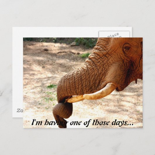 Een beetje verdraaid Briefkaart (Voorkant / Achterkant)