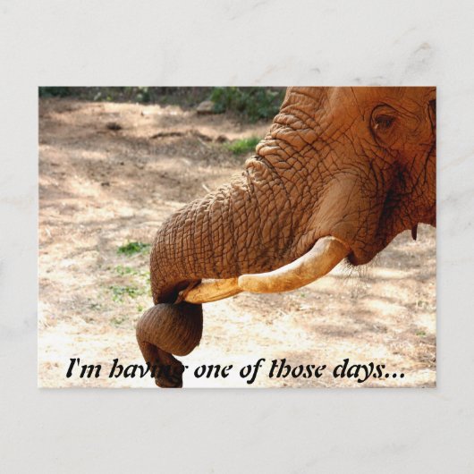 Een beetje verdraaid Briefkaart (Voorkant)