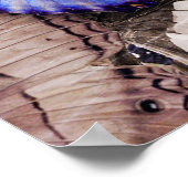 een beetje verkeerd begrepen poster (Hoek)