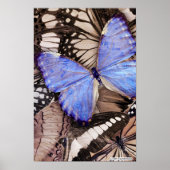 een beetje verkeerd begrepen poster (Voorkant)