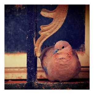 Een beetje vlot perfect poster