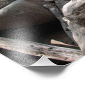 Een beetje vrede foto afdruk (Hoek)