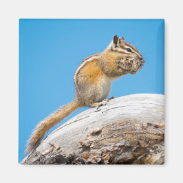 Een beetje weg voor later magneet