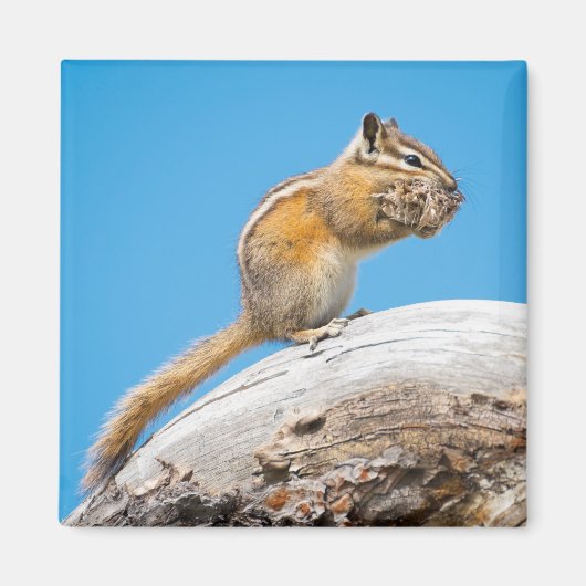 Een beetje weg voor later magneet (Voorkant)