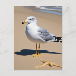 Een beetje zeemeeuw op een strand omringd door g briefkaart