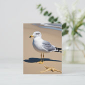 Een beetje zeemeeuw op een strand omringd door g briefkaart (Staand voorkant)