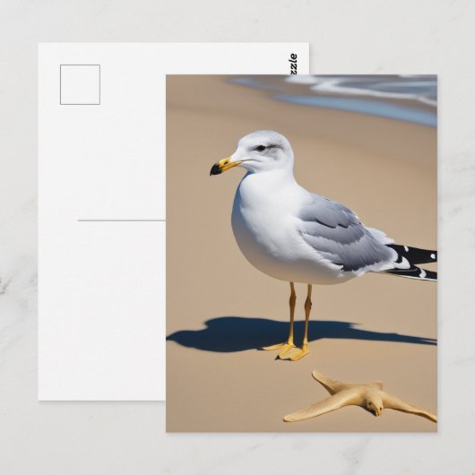 Een beetje zeemeeuw op een strand omringd door g briefkaart (Voorkant / Achterkant)