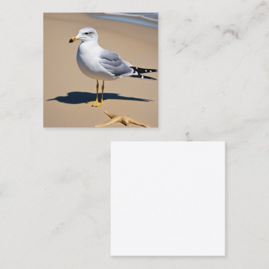 Een beetje zeemeeuw op een  strand omringd door g vierkante visitekaartje (Voorkant / Achterkant)