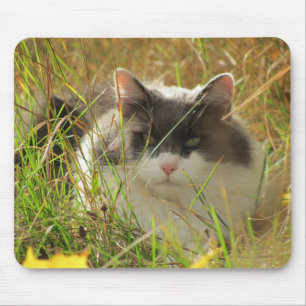 Een beetje zon krijgen. muismat