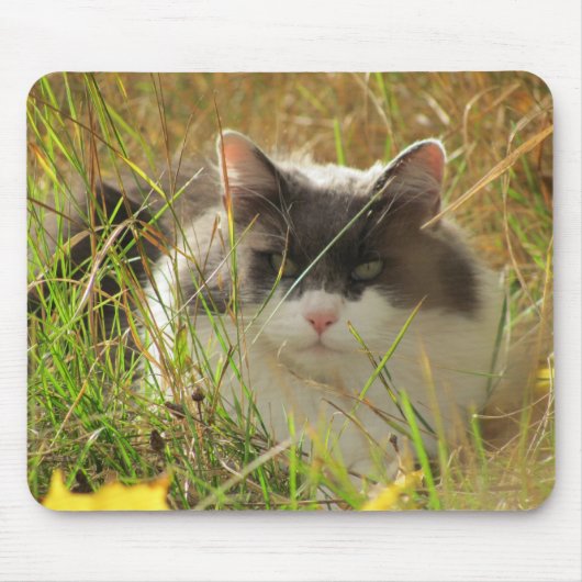 Een beetje zon krijgen. muismat (Voorkant)