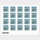 Een beige kleine dachshund vierkante sticker (Vel)