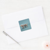 Een beige kleine dachshund vierkante sticker (Envelop)