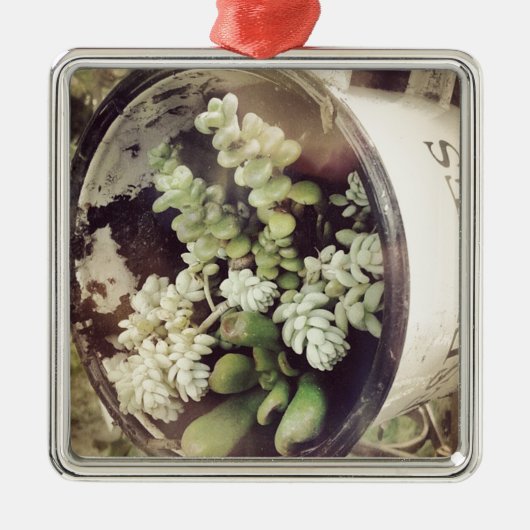 Een bekertje vol met succulente planten metalen ornament (Voorkant)