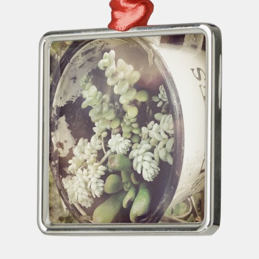 Een bekertje vol met succulente planten metalen ornament (Links)
