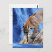 Een berg leeuw aan de waterval briefkaart (Voorkant / Achterkant)