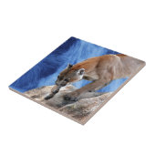 Een berg leeuw aan de waterval tegeltje (Zijkant)