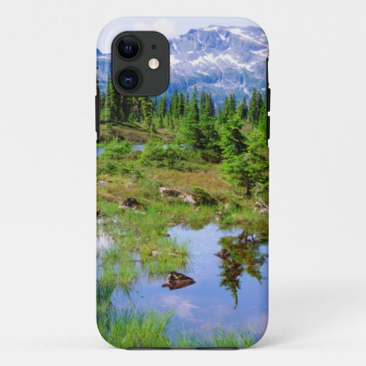 Een bergmeer in het achterland van Vancouver Islan Case-Mate iPhone Case (Achterkant)