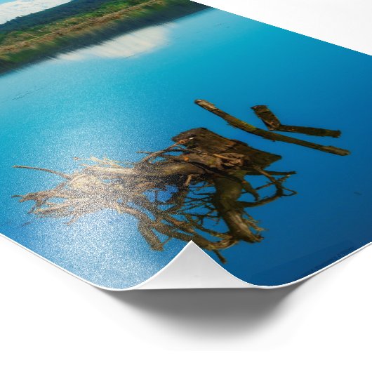 Een bergpeer boven een heg foto afdruk (Hoek)