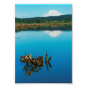 Een bergpeer boven een heg foto afdruk (Voorkant)