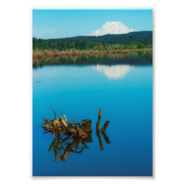 Een bergpeer boven een heg foto afdruk