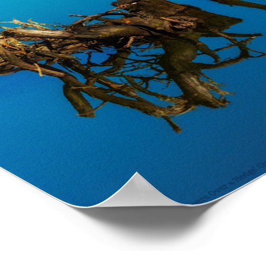 Een bergpeer boven een heg poster (Hoek)