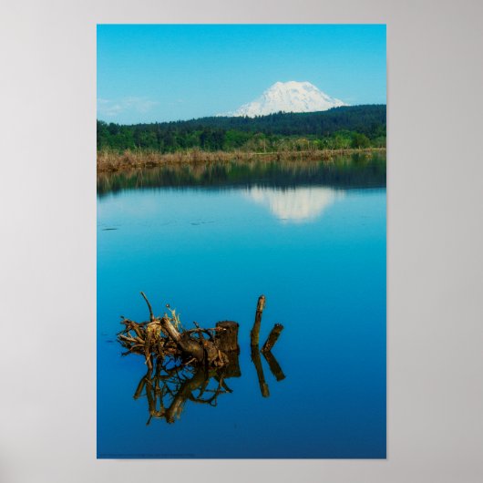 Een bergpeer boven een heg poster (Voorkant)