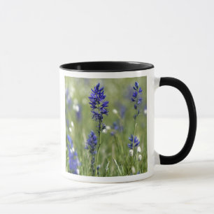 Een bergweide met wilde bloemen waaronder mok